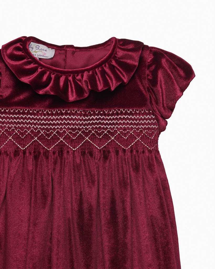 princess polly baby blue dress Baby Dress in Burgundy Floral  Tutto Piccolo USA
