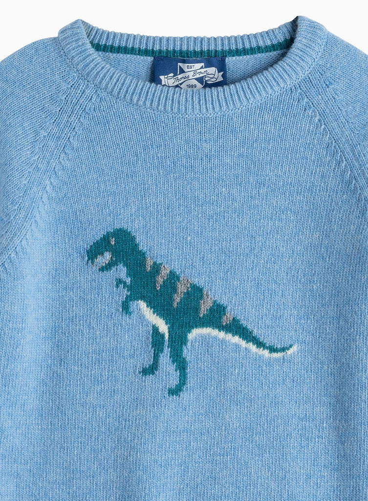 Dinosaur sweaters online
