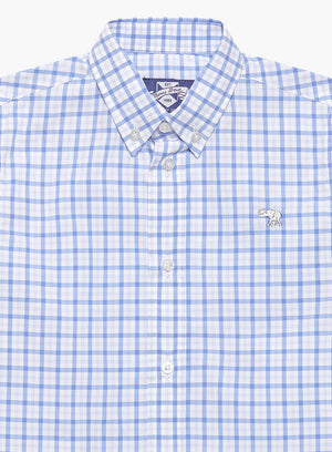 Thomas Brown Shirt Thomas Shirt in Blue Check