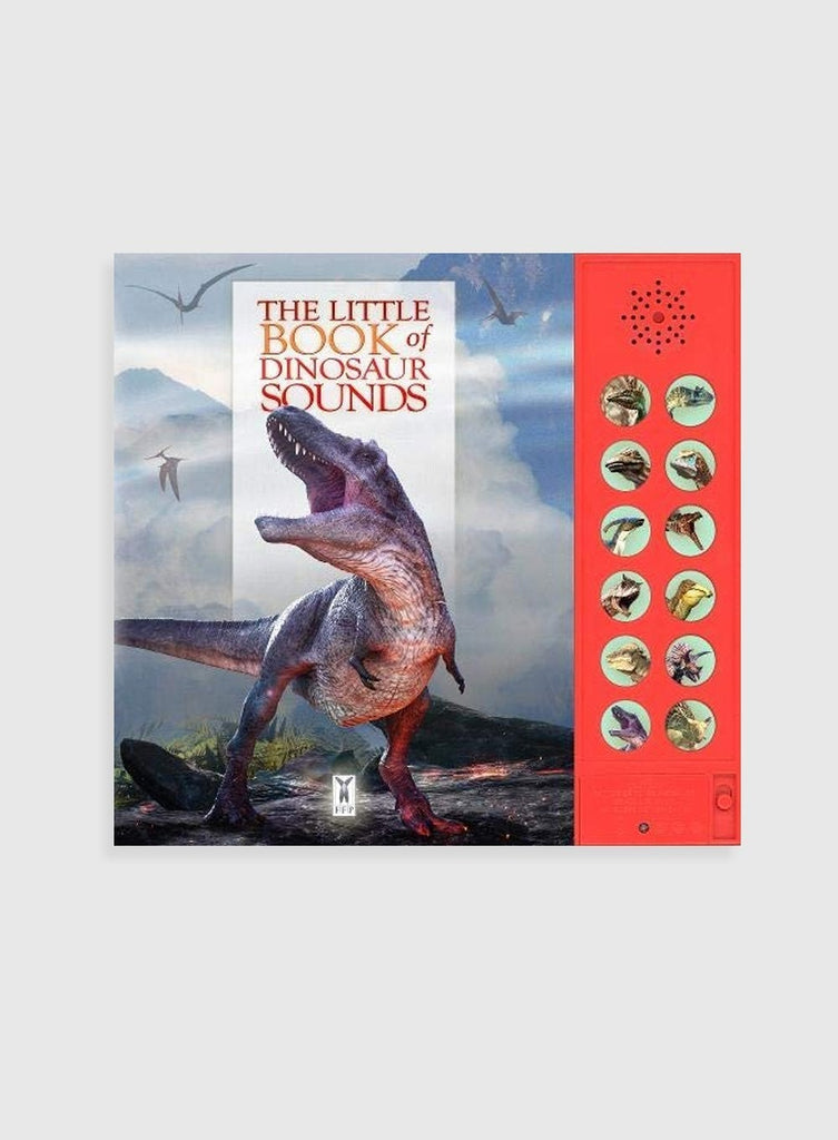 Caz Buckingham Book The Little Book of Dinosaur Sounds