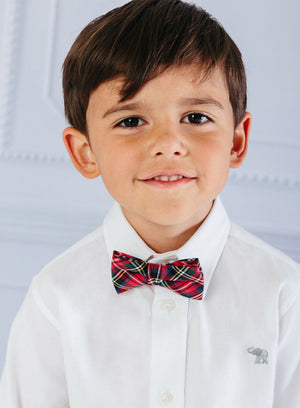 Thomas Brown Bow Tie Bow Tie in Red Tartan