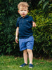 Thomas Brown Shorts Charlie Chino Shorts in Sky Blue - Trotters Childrenswear