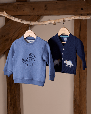 Chelsea Clothing Company Sweatshirt Baby Dinosaur Sweatshirt