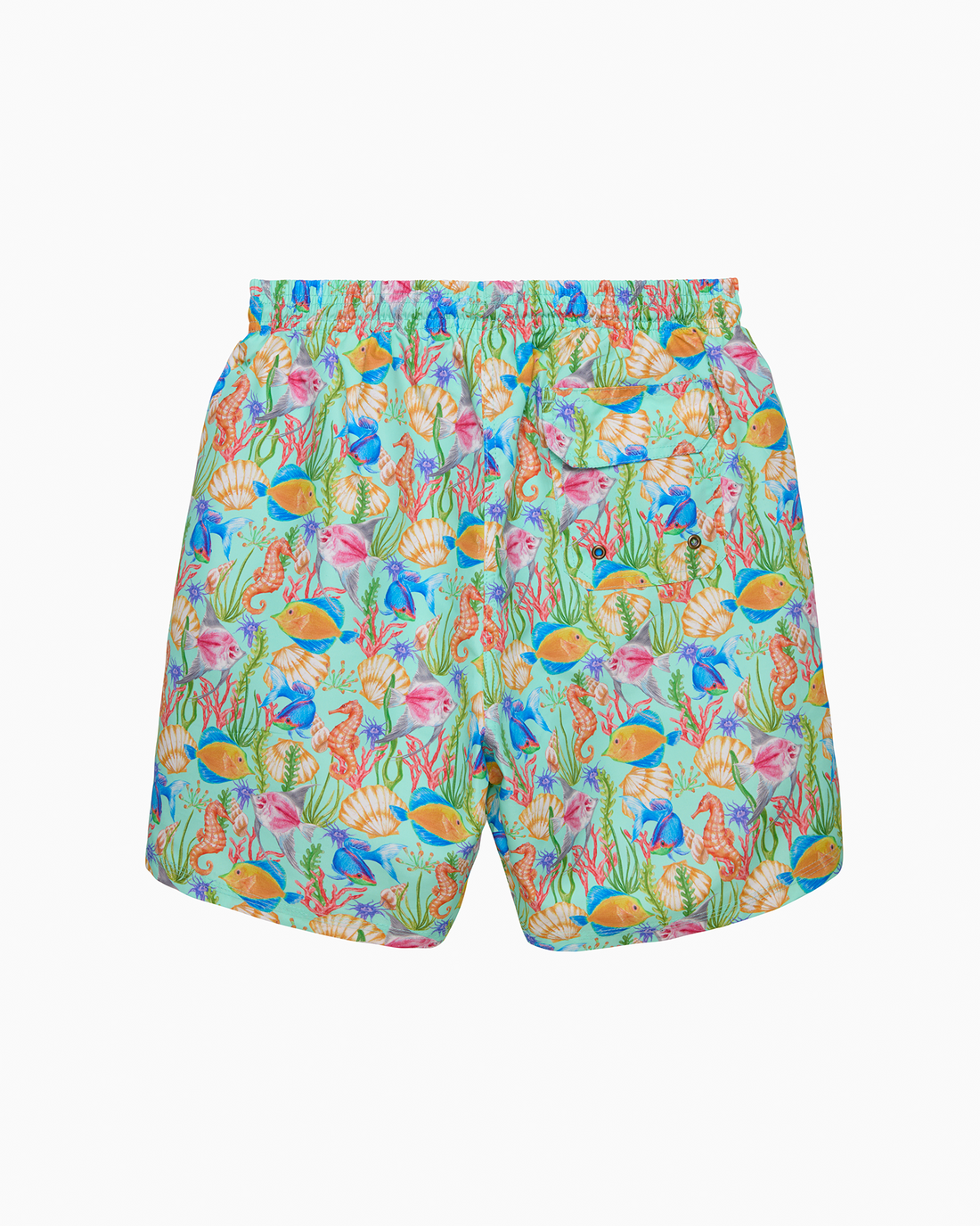 Hamptons Swim Swimshorts Mens Swimshorts in Tropical