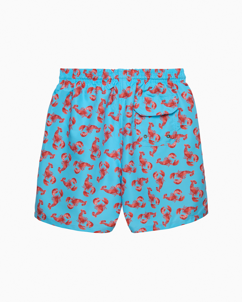 Hamptons Swim Swimshorts Mens Swimshorts in Lobster