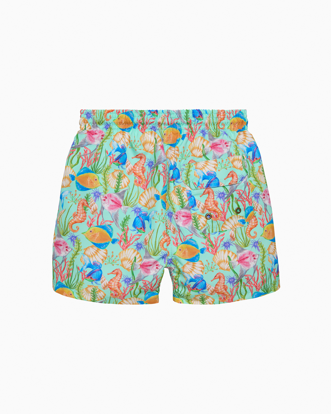 Hamptons Swim Swimshorts Boys Swimshorts in Tropical