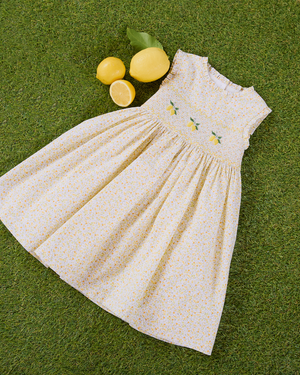 Confiture Dress Lemon Smocked Dress