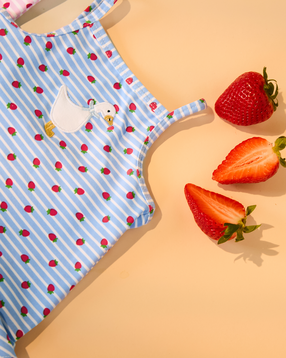 Hampton Swim Swimsuit Baby Duck Swimsuit in Blue Strawberry Stripe