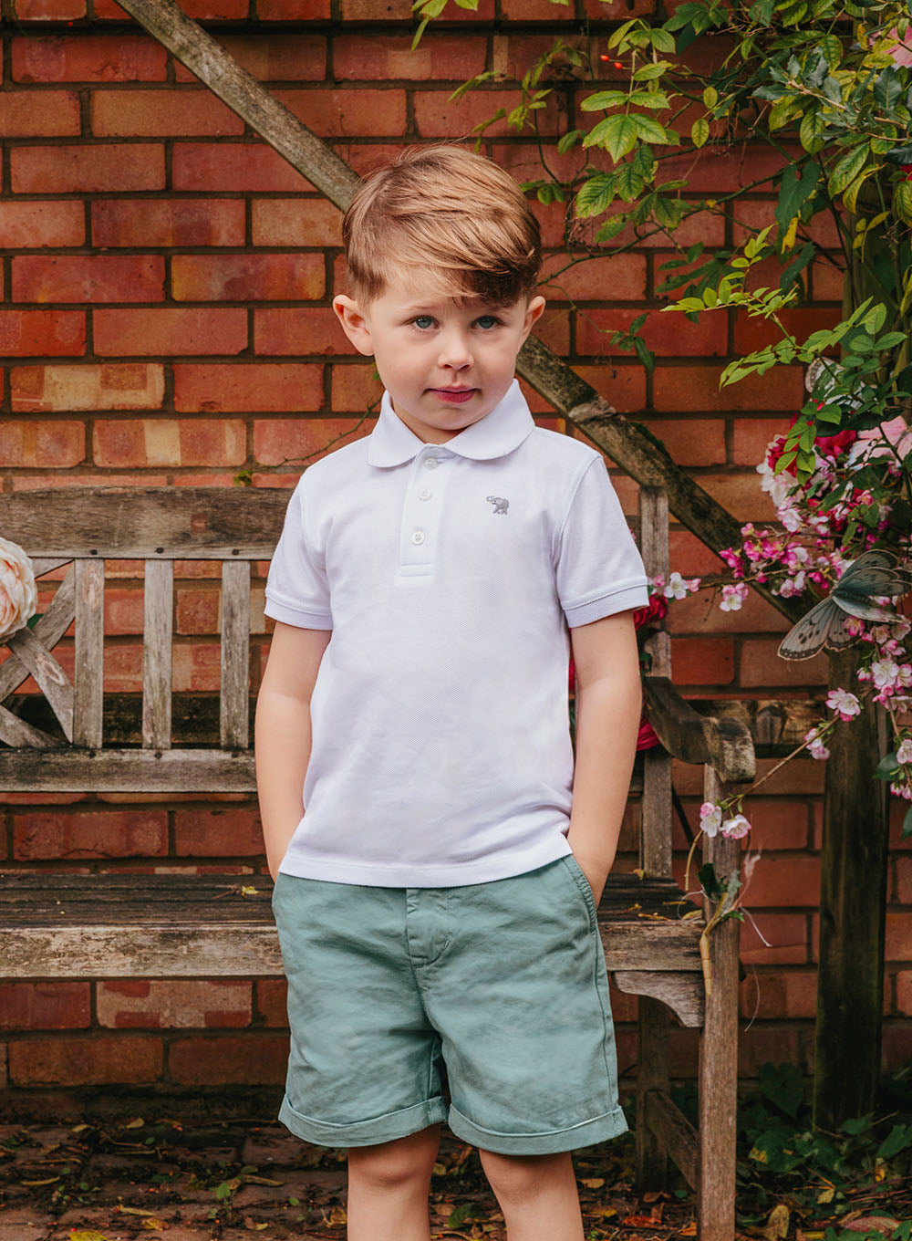 Thomas Brown Shorts Charlie Chino Shorts in Sage