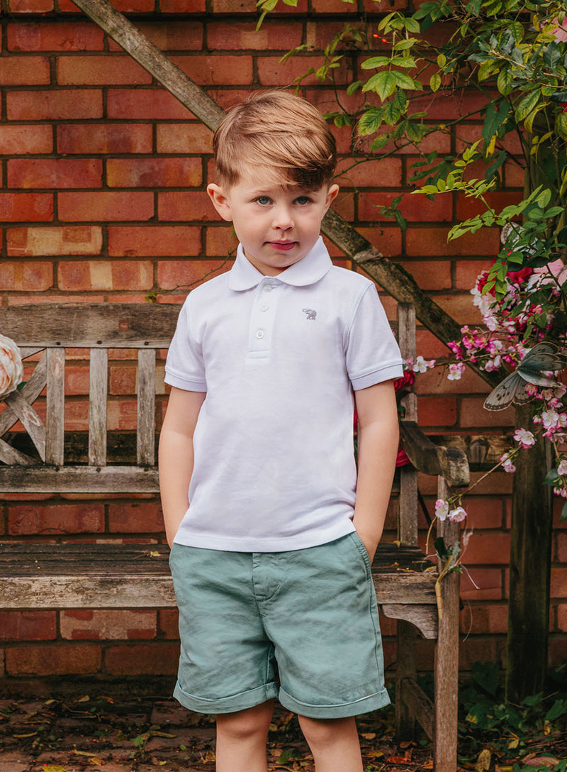 Thomas Brown Shorts Charlie Chino Shorts in Sage