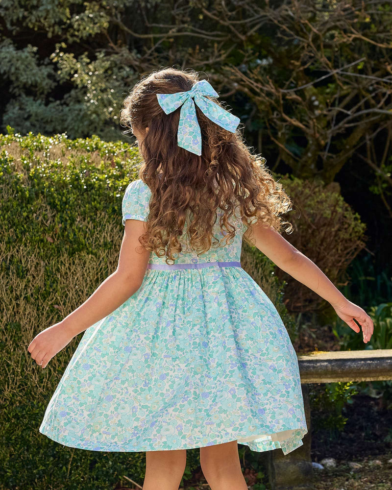 Lily Rose Dress Peppermint Betsy Dress