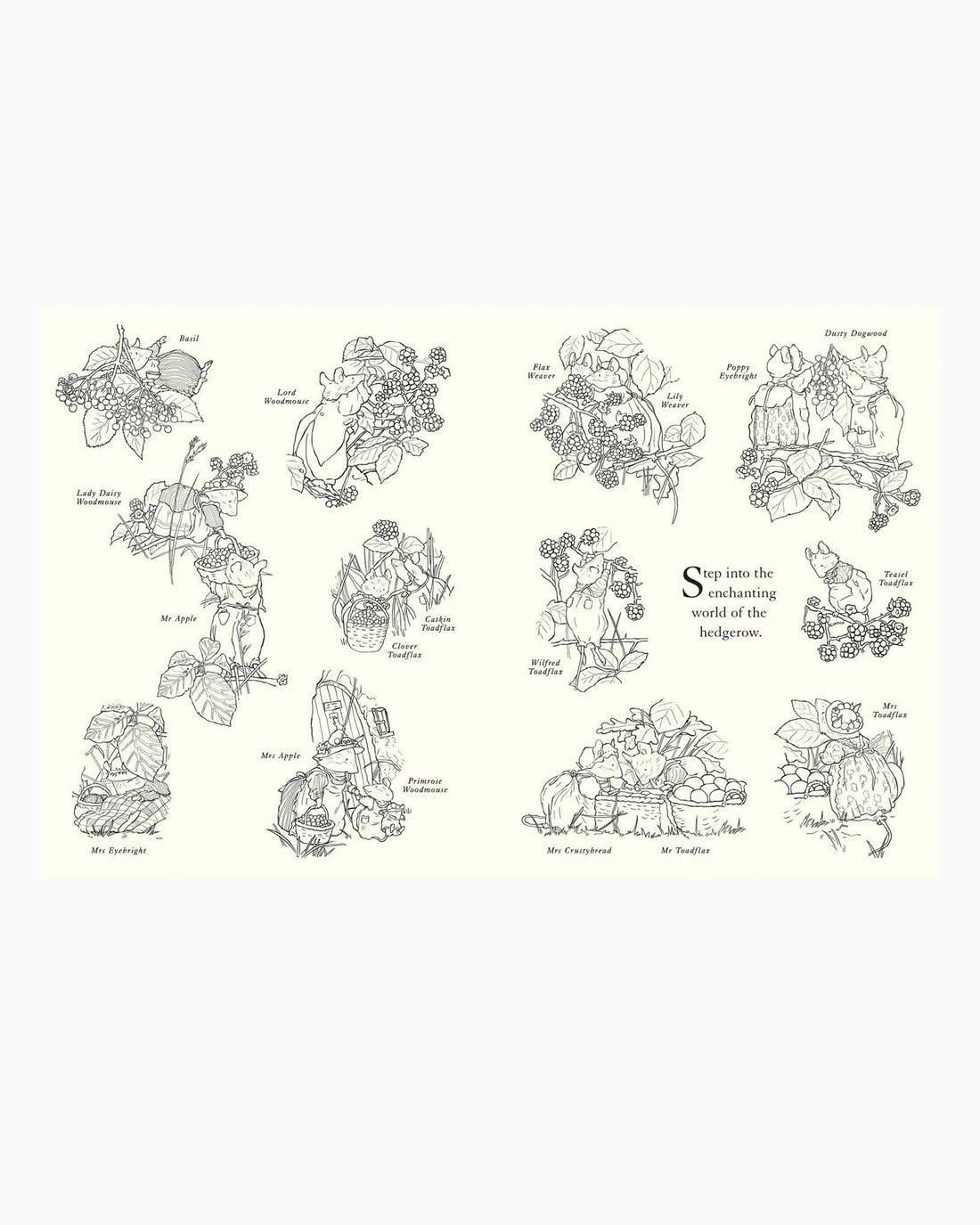 Jill Barklem Book Brambly Hedge: Festive Colouring Book