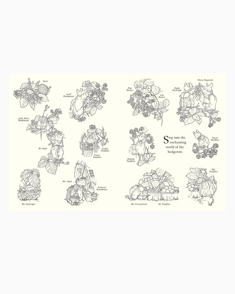Jill Barklem Book Brambly Hedge: Festive Colouring Book