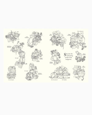 Jill Barklem Book Brambly Hedge: Festive Colouring Book