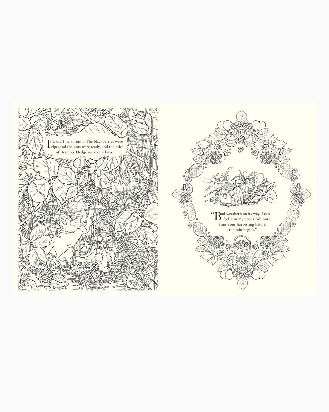 Jill Barklem Book Brambly Hedge: Festive Colouring Book