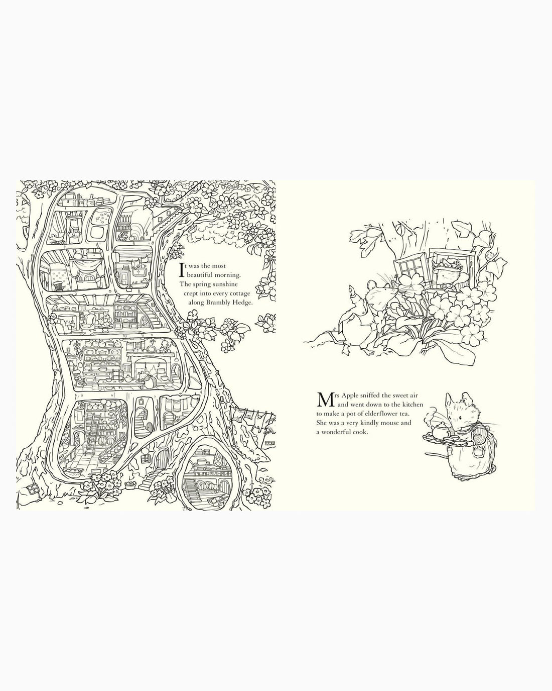 Jill Barklem Book Brambly Hedge: Nature Colouring Book