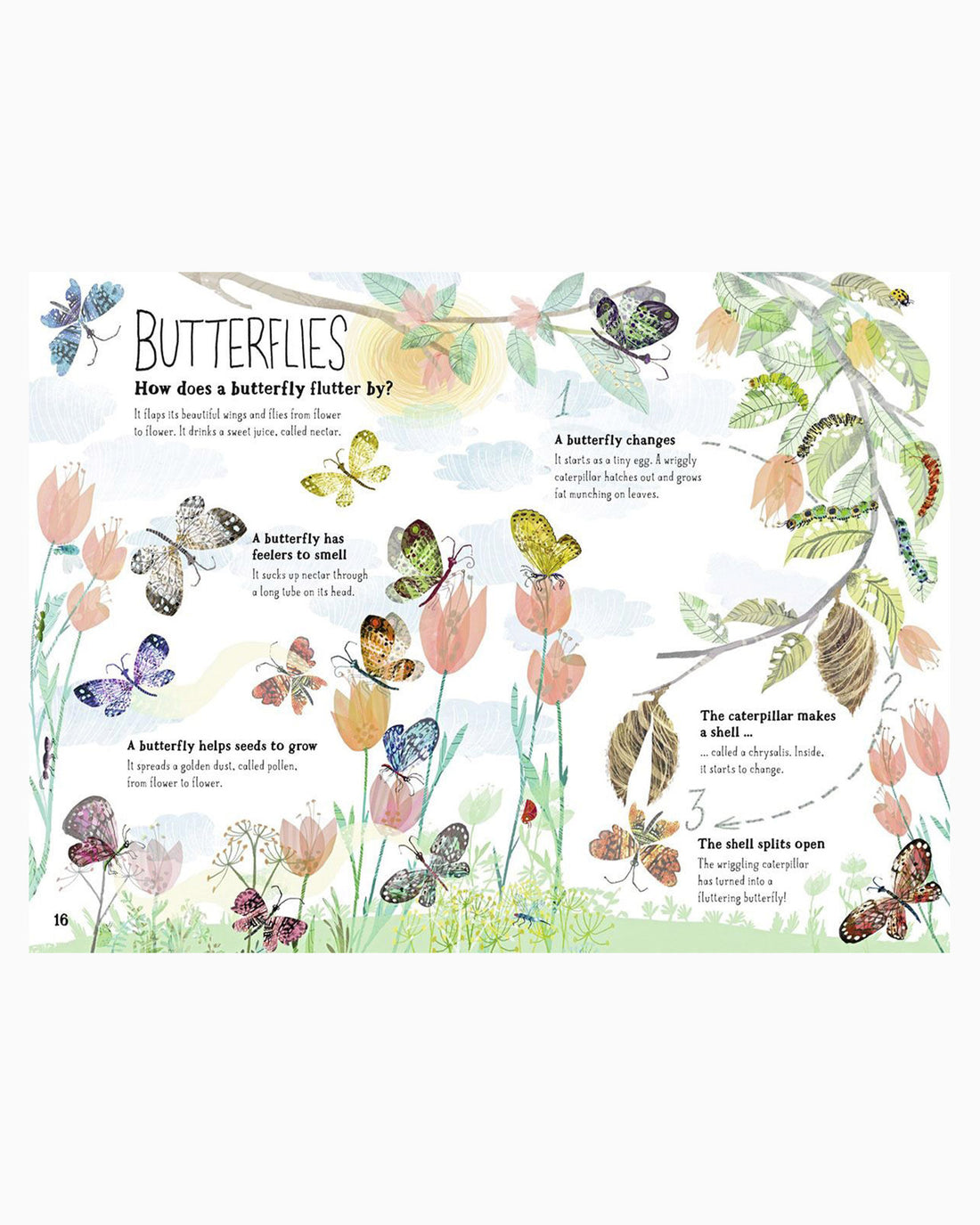 Yuval Zommer Book Big Book of Bugs