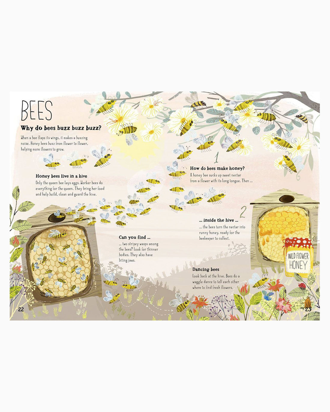 Yuval Zommer Book Big Book of Bugs
