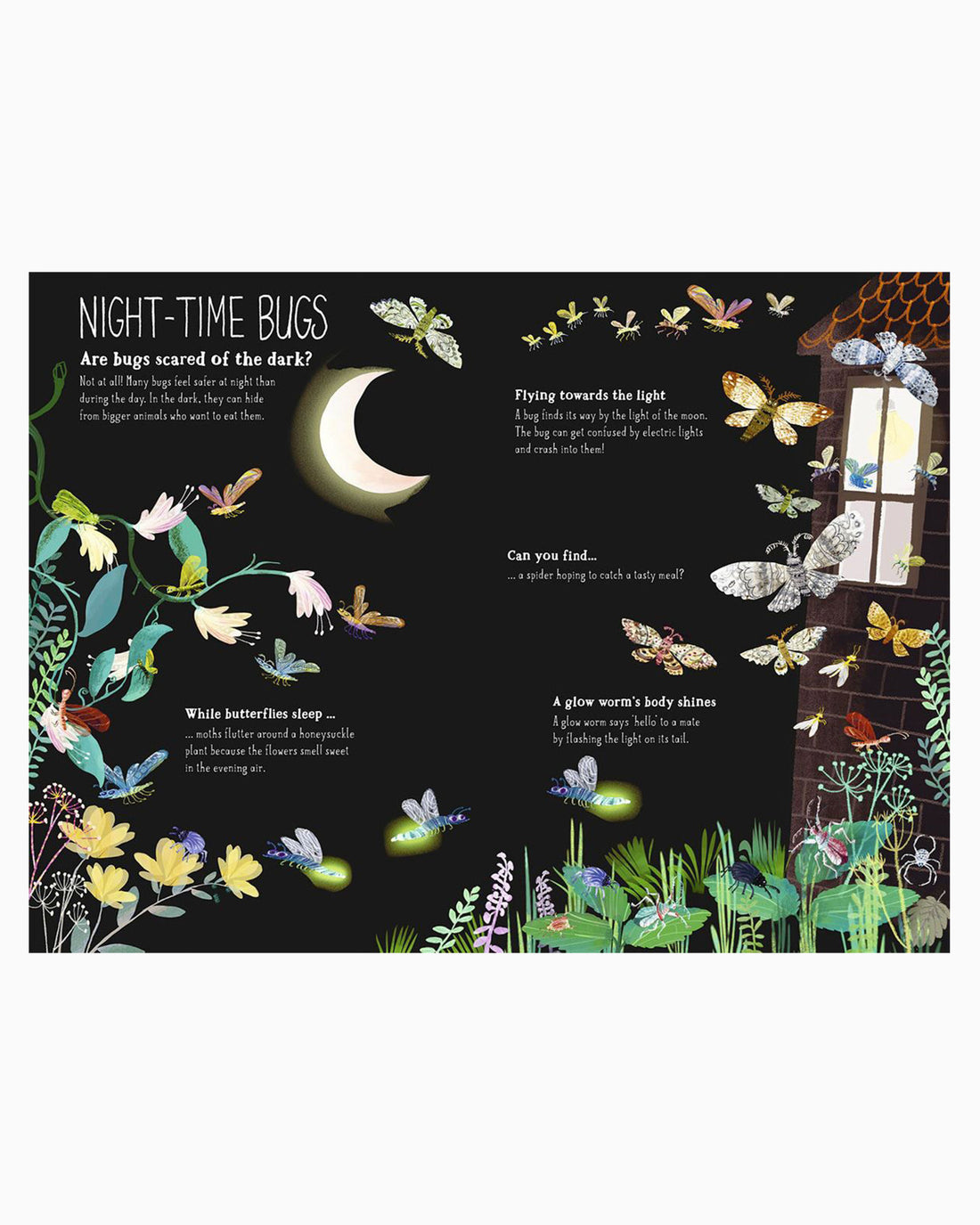 Yuval Zommer Book Big Book of Bugs