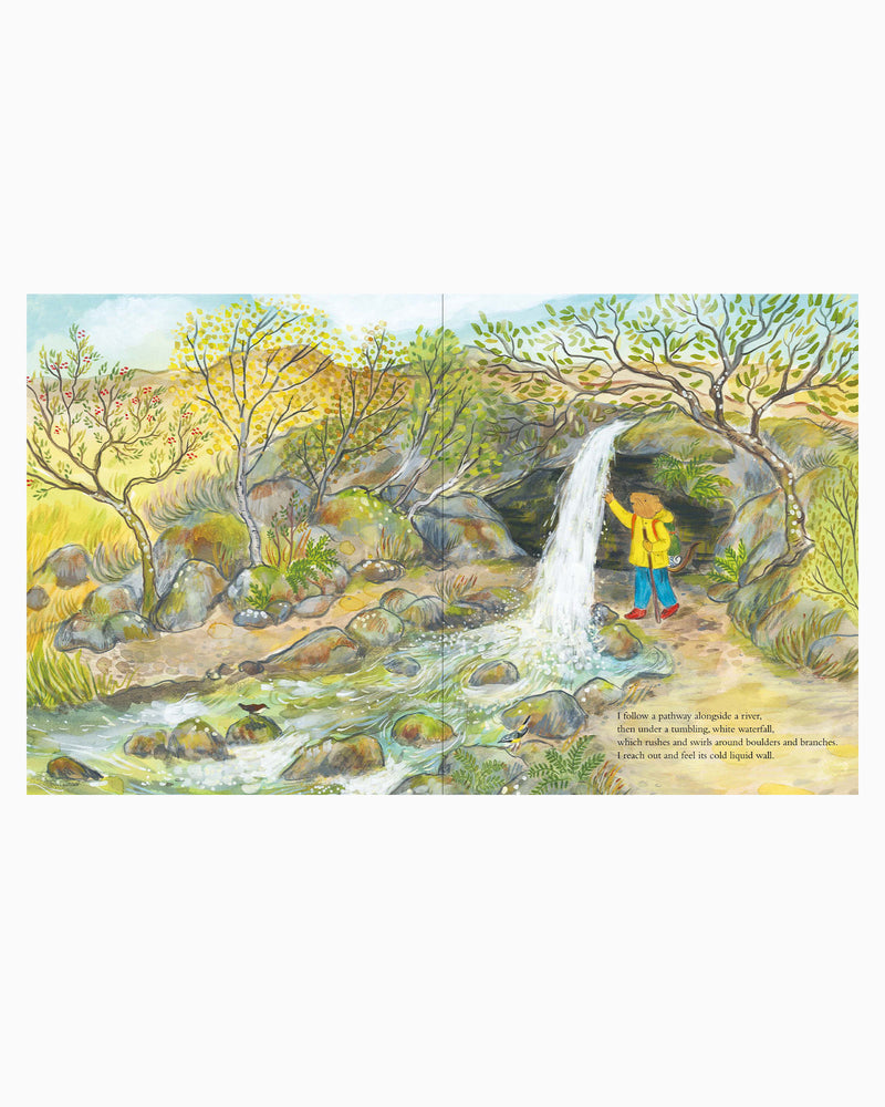 Alice Melvin Book Mouse Goes to the Mountains