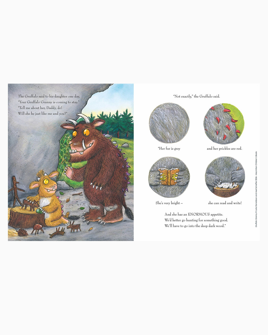 Julia Donaldson Book Gruffalo Granny