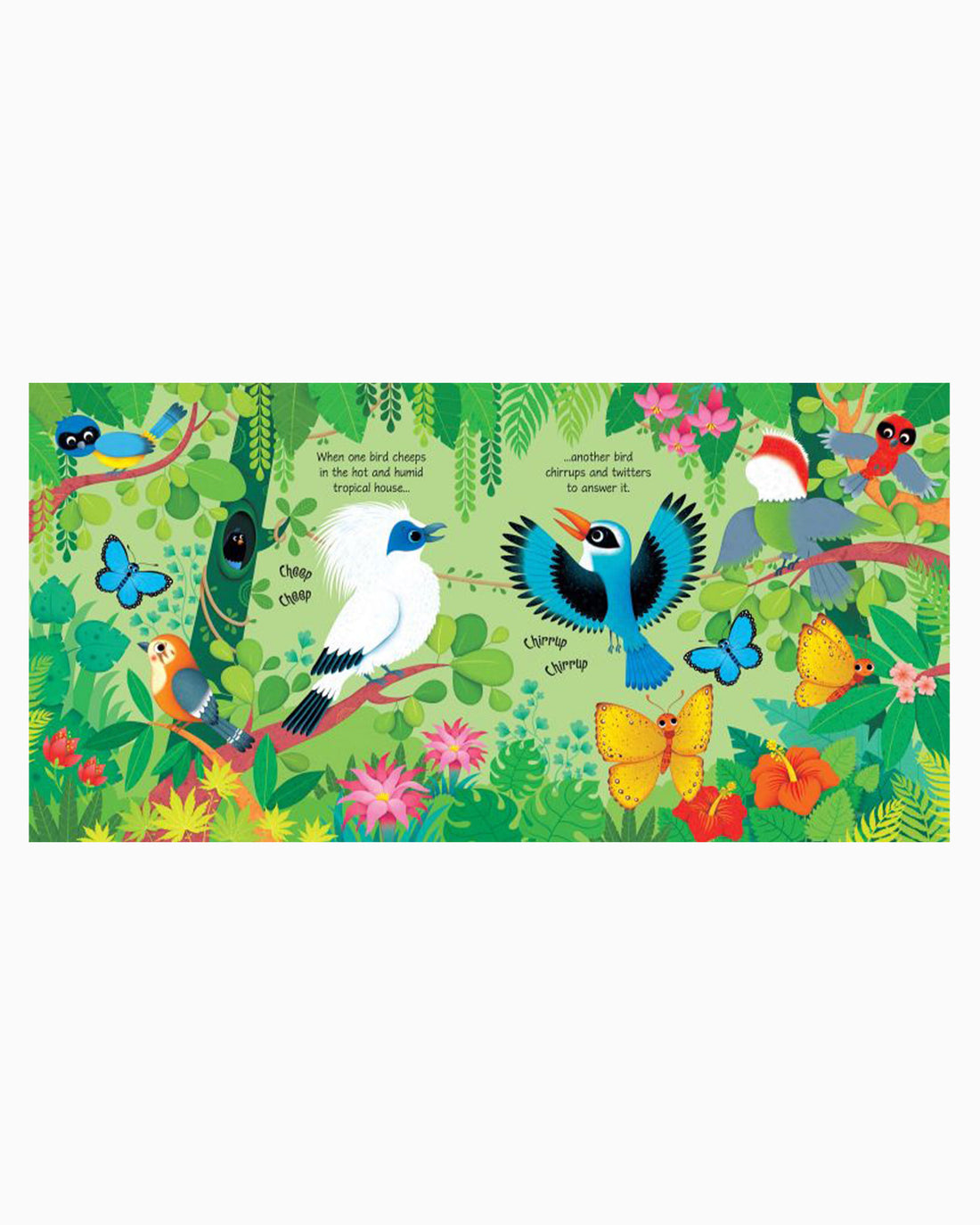 Usborne Book Zoo Sounds Sound Book