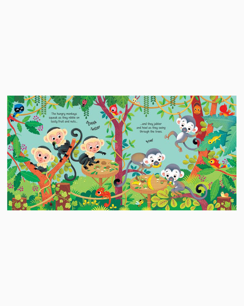 Usborne Book Zoo Sounds Sound Book