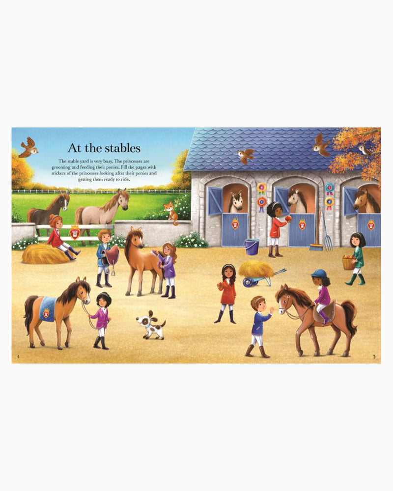 Usborne Book Usborne Princesses Sticker Book