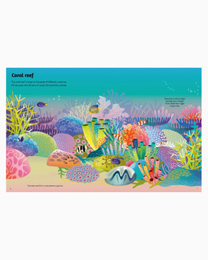 Usborne Book Usborne's First Sticker Book Oceans