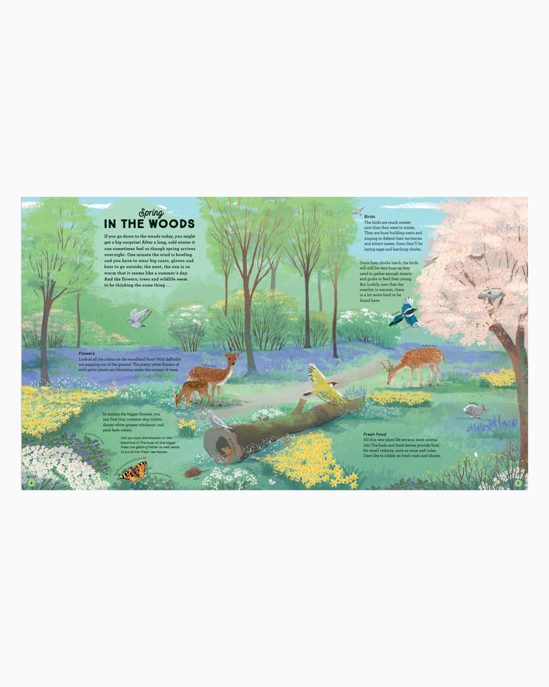 Anna Wilson Book Story Of The Seasons
