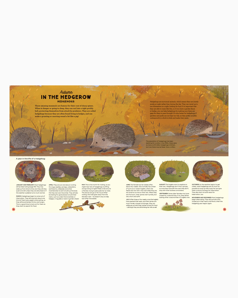 Anna Wilson Book Story Of The Seasons