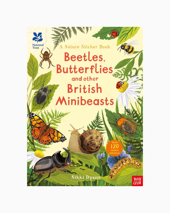 Nikki Dyson Book Beetles, Butterflies and other British Minibeasts