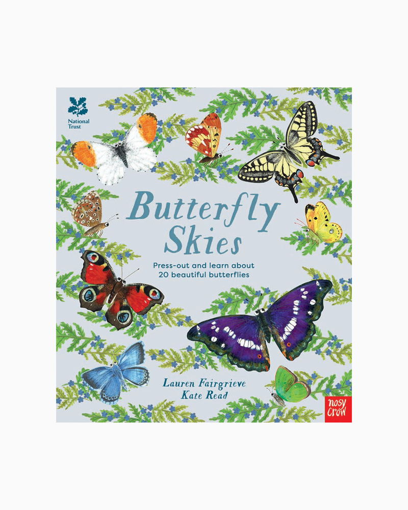 Lauren Fairgrieve Book Butterfly Skies