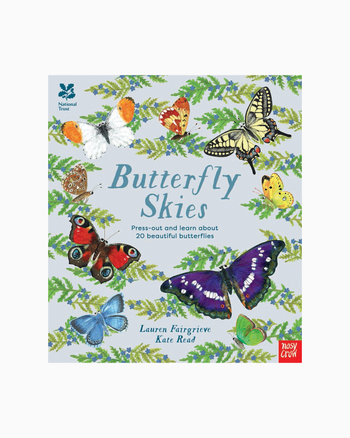 Lauren Fairgrieve Book Butterfly Skies