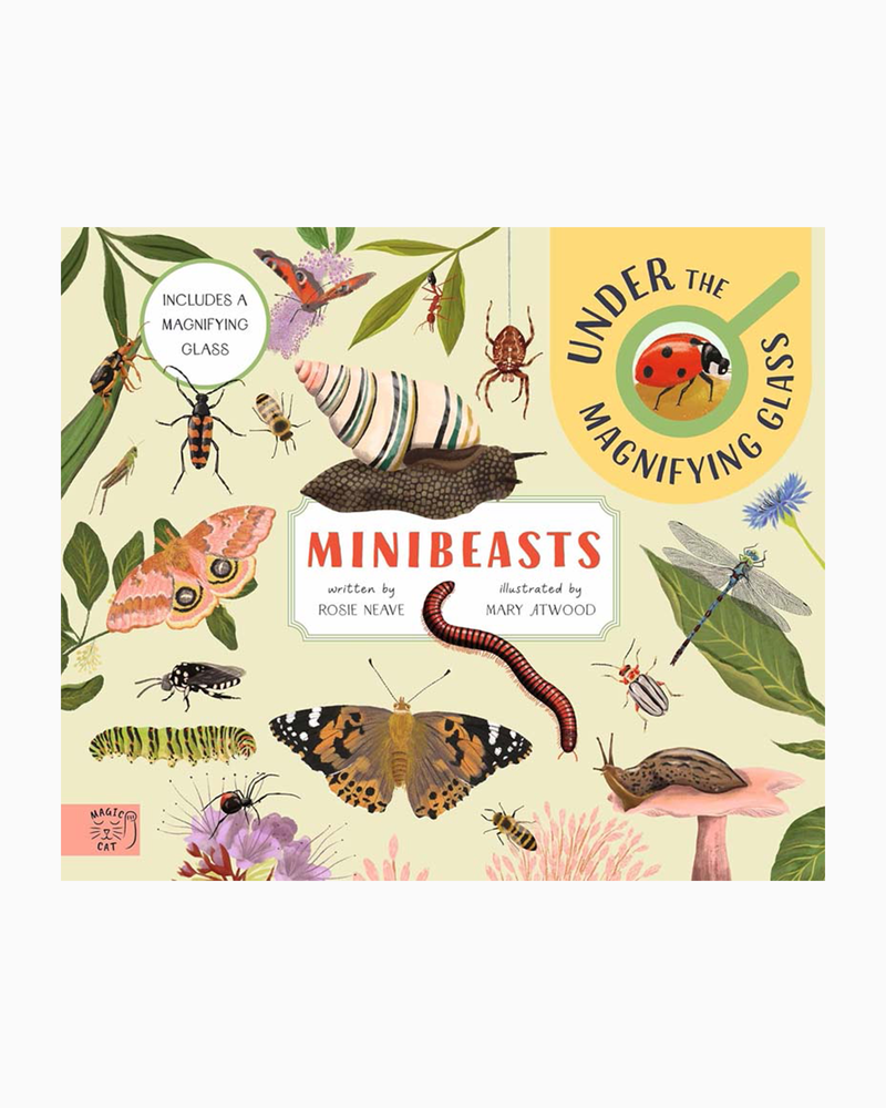 Rosie Neave Book Minibeasts Under the Maginfying Glass