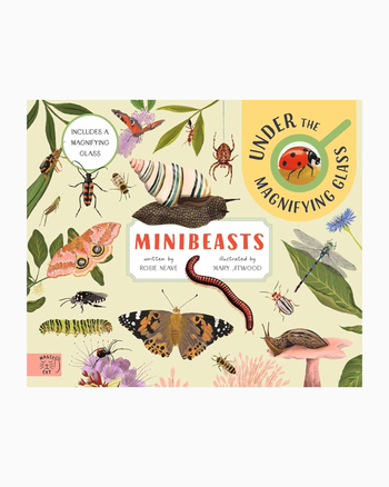 Rosie Neave Book Minibeasts Under the Maginfying Glass