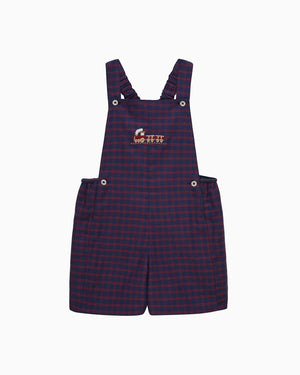 Chelsea Clothing Company Bib Shorts Baby Alfie Bib Shorts in Train