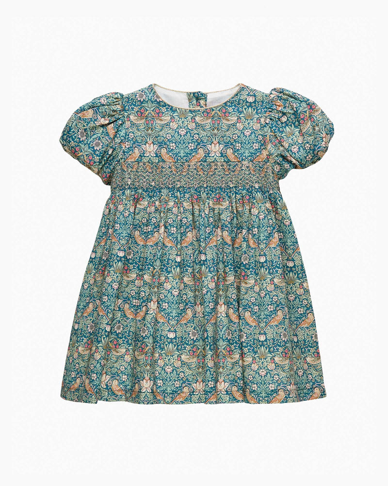 Lily Rose Dress Baby Strawberry Thief Party Dress