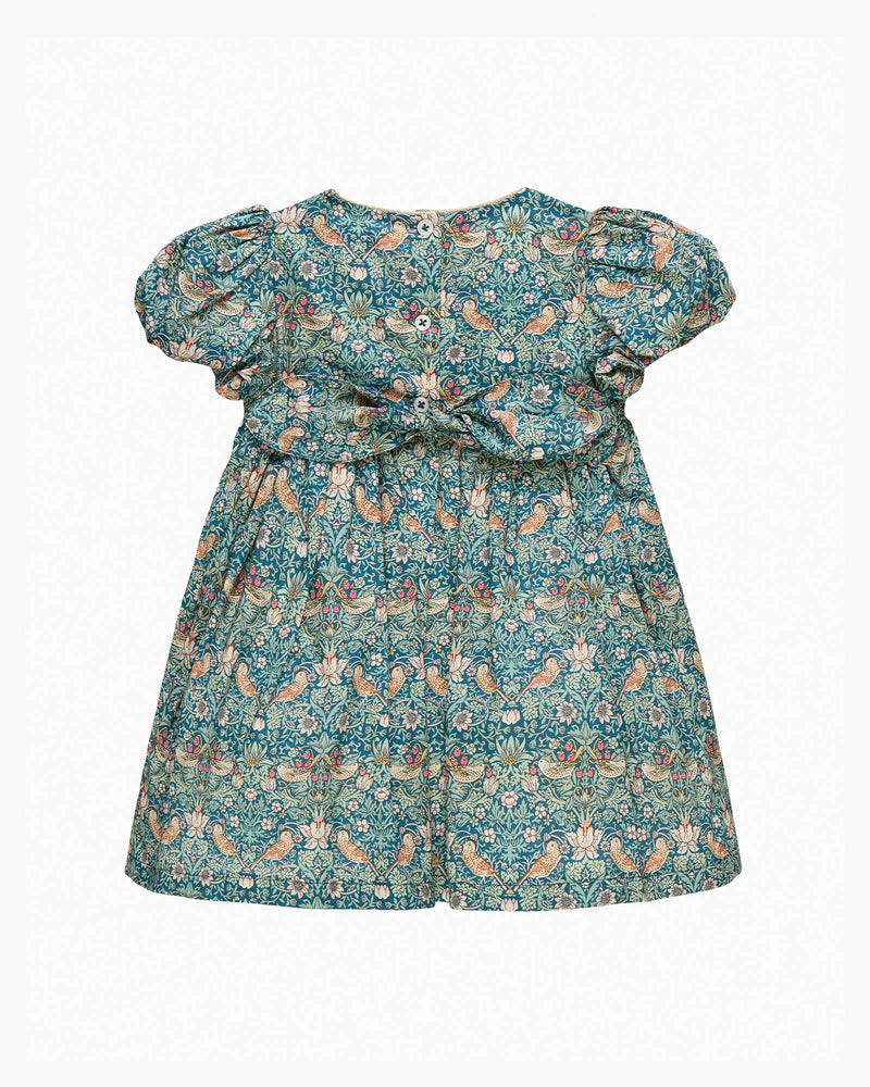 Lily Rose Dress Baby Strawberry Thief Party Dress