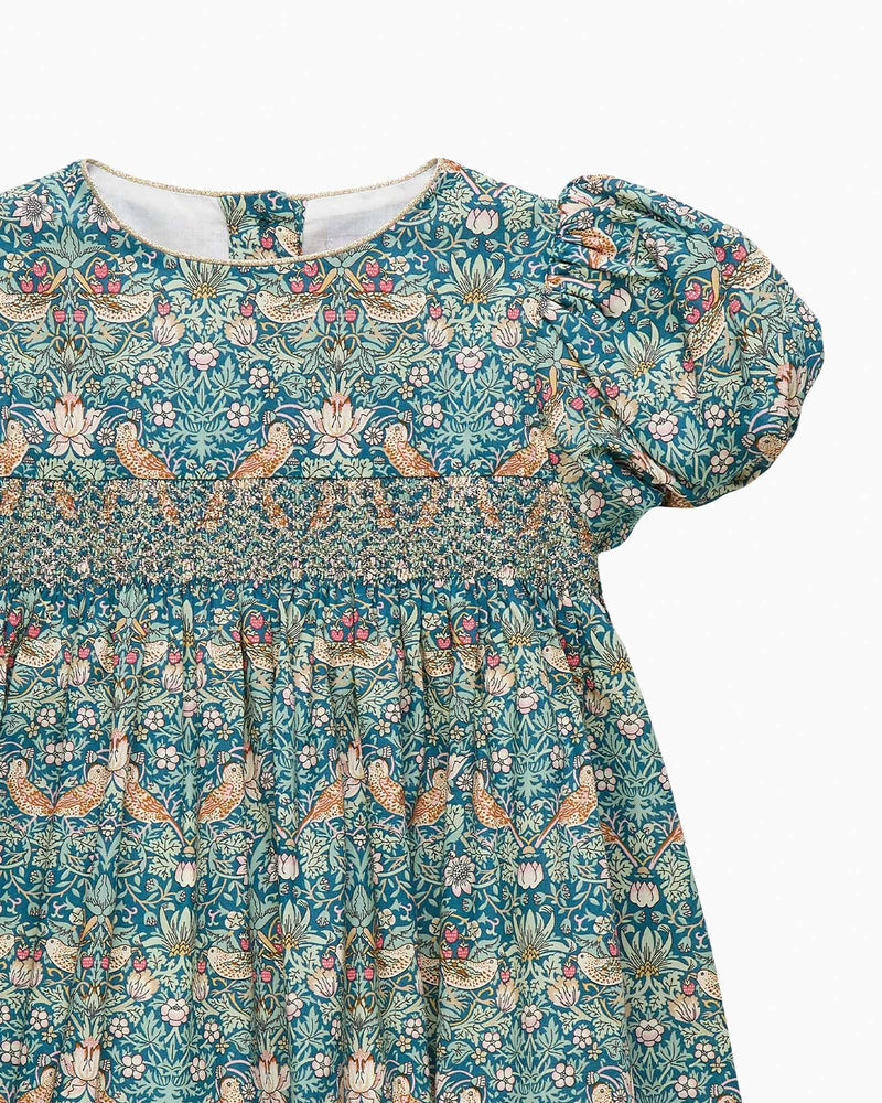 Lily Rose Dress Baby Strawberry Thief Party Dress