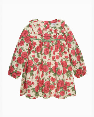 Lily Rose Dress Baby Carline Rose Willow Dress