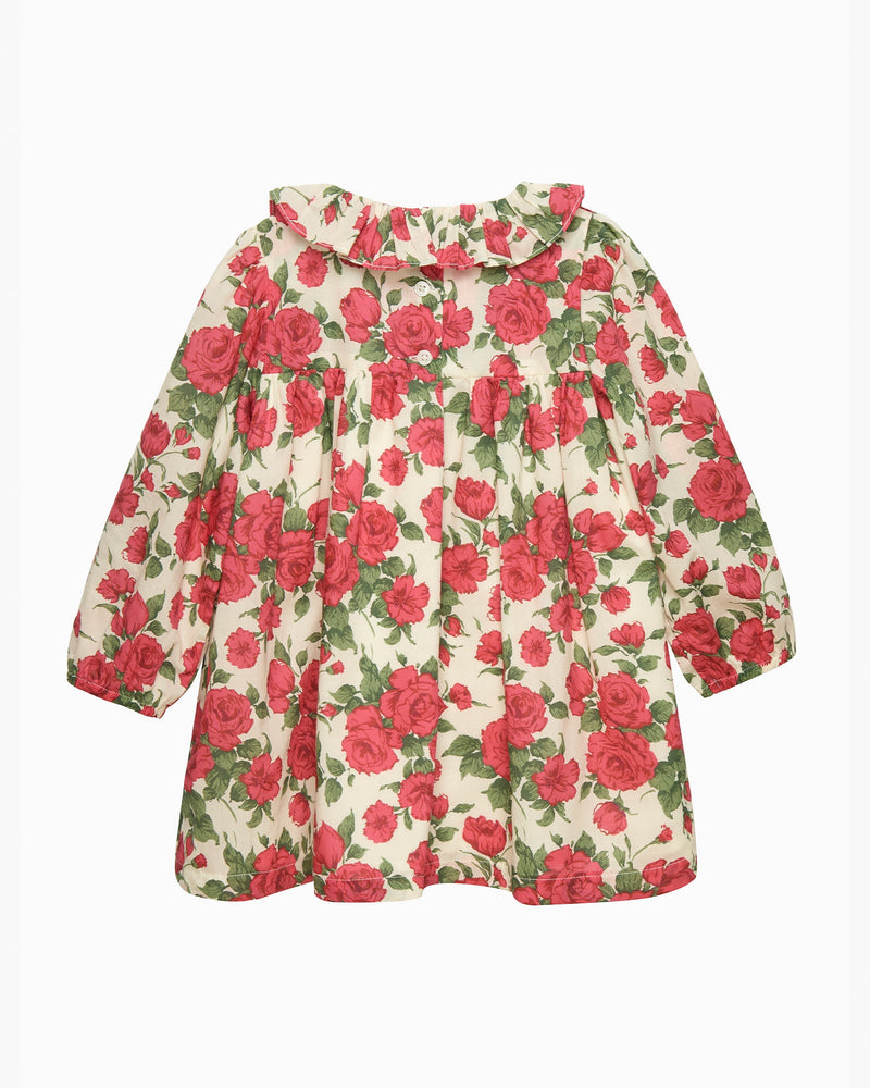 Lily Rose Dress Baby Carline Rose Willow Dress