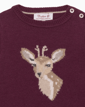Confiture Jumper Baby Dasher Jumper in Claret