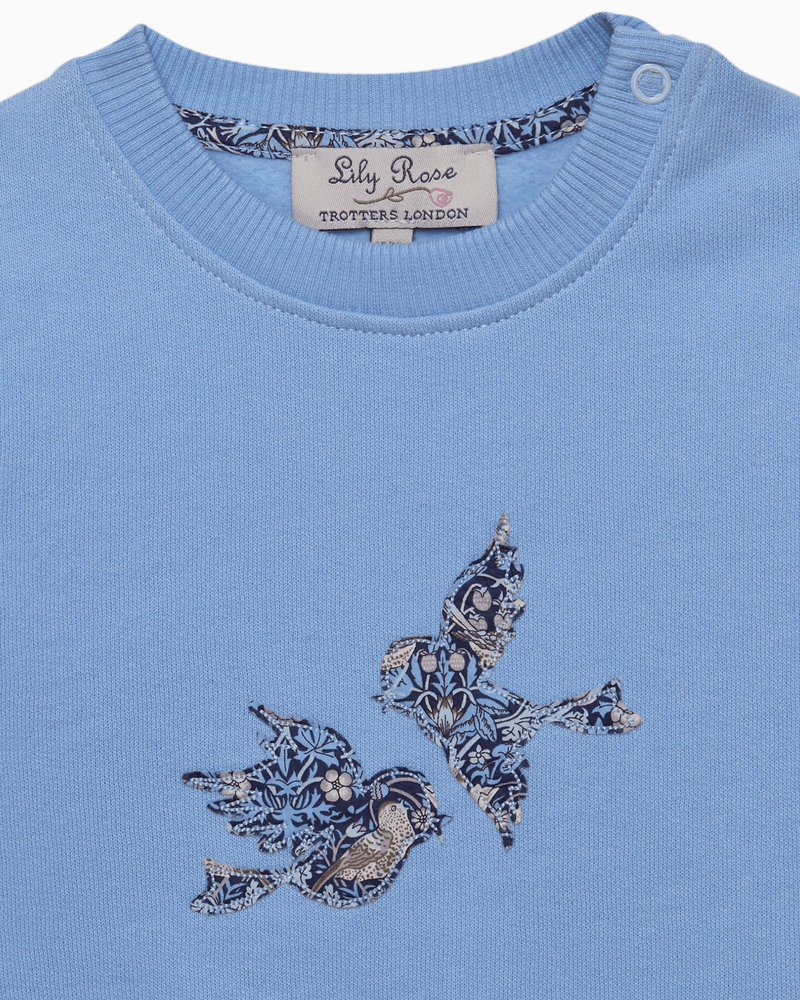 Lily Rose Sweatshirt Baby Strawberry Thief Birds Sweatshirt