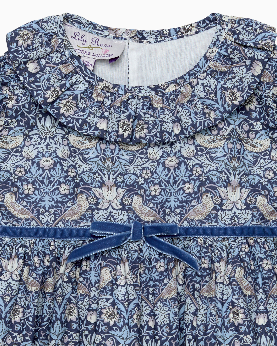 Lily Rose Dress Baby Strawberry Thief Dress