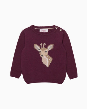 Confiture Jumper Baby Dasher Jumper in Claret