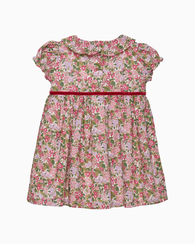 Lily Rose Dress Baby Hedgerow Willow Dress