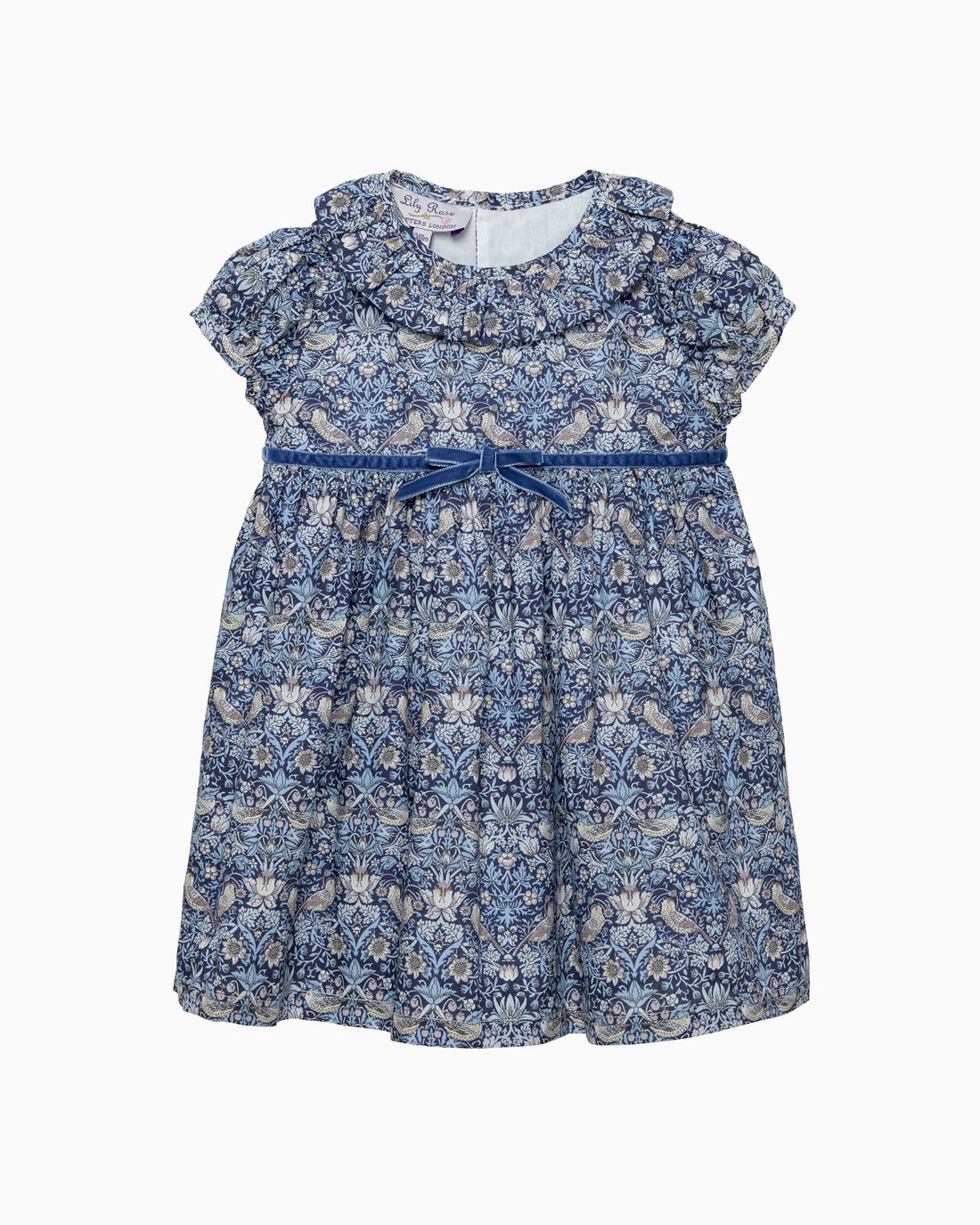 Lily Rose Dress Baby Strawberry Thief Dress