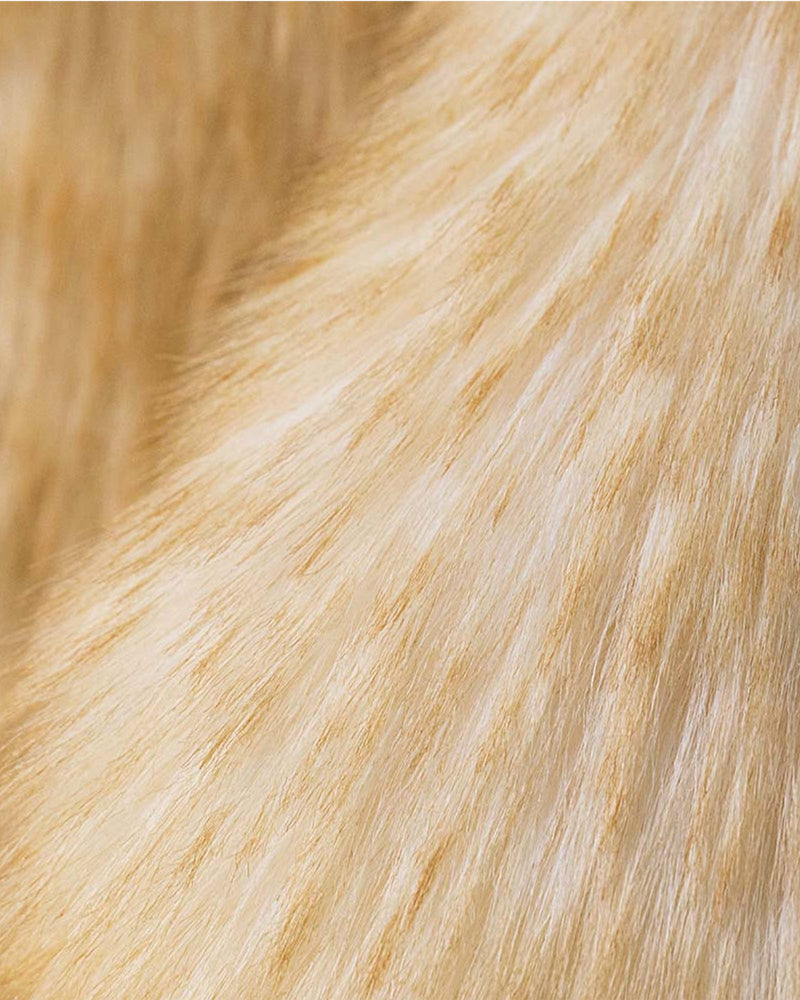 Jellycat Toy Jellycat Springlowe Luxe Bunny