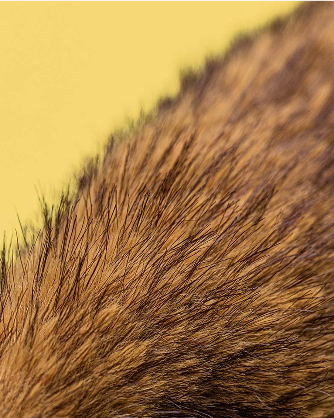 Jellycat Toy Jellycat Hoppleston Luxe Bunny